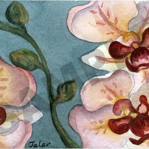 Meet your Posher, Talar